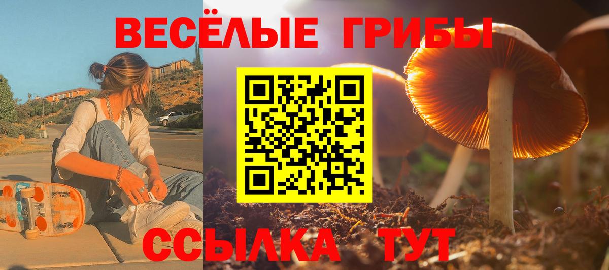 Галлюциногенные грибы мицелий  Псилоцибиновые грибы мухоморы  Вход с VPN  Богородск 